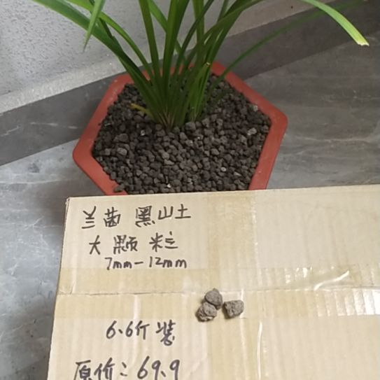 妤***点兰菌黑山土大颗粒6.6斤