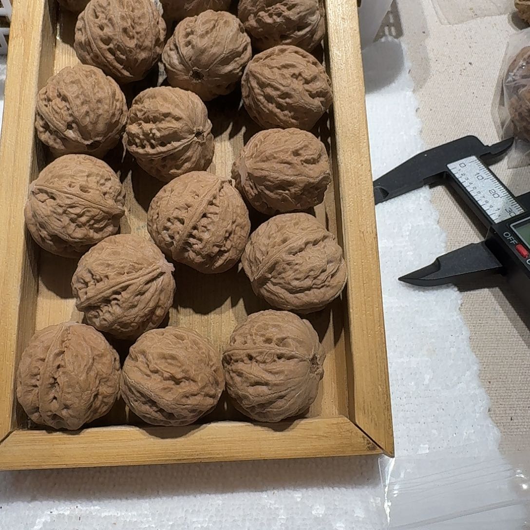 核桃手串/手链36号边26手持