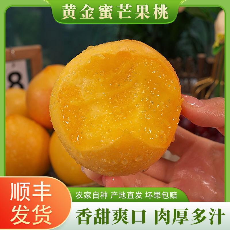 【顺丰】辽宁黄金蜜桃芒果桃应季油桃黄桃果园现摘甜嫩多汁2.9斤起