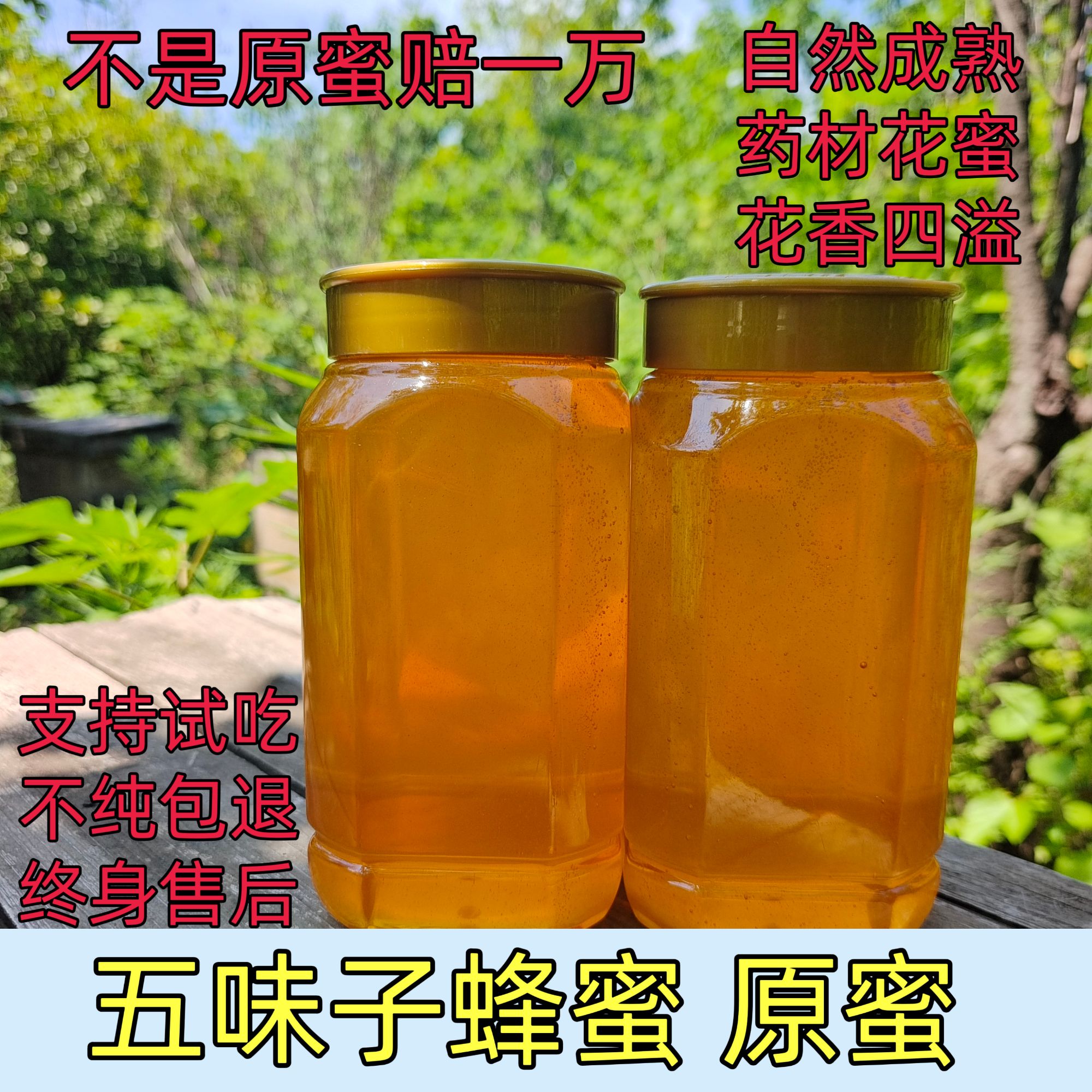 五味子蜂蜜 原蜜 纯正天然自然成熟42度以上农家自产蜂场直发