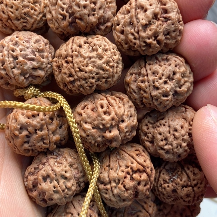 吊坠金刚菩提5瓣20粗筋梅花双龙