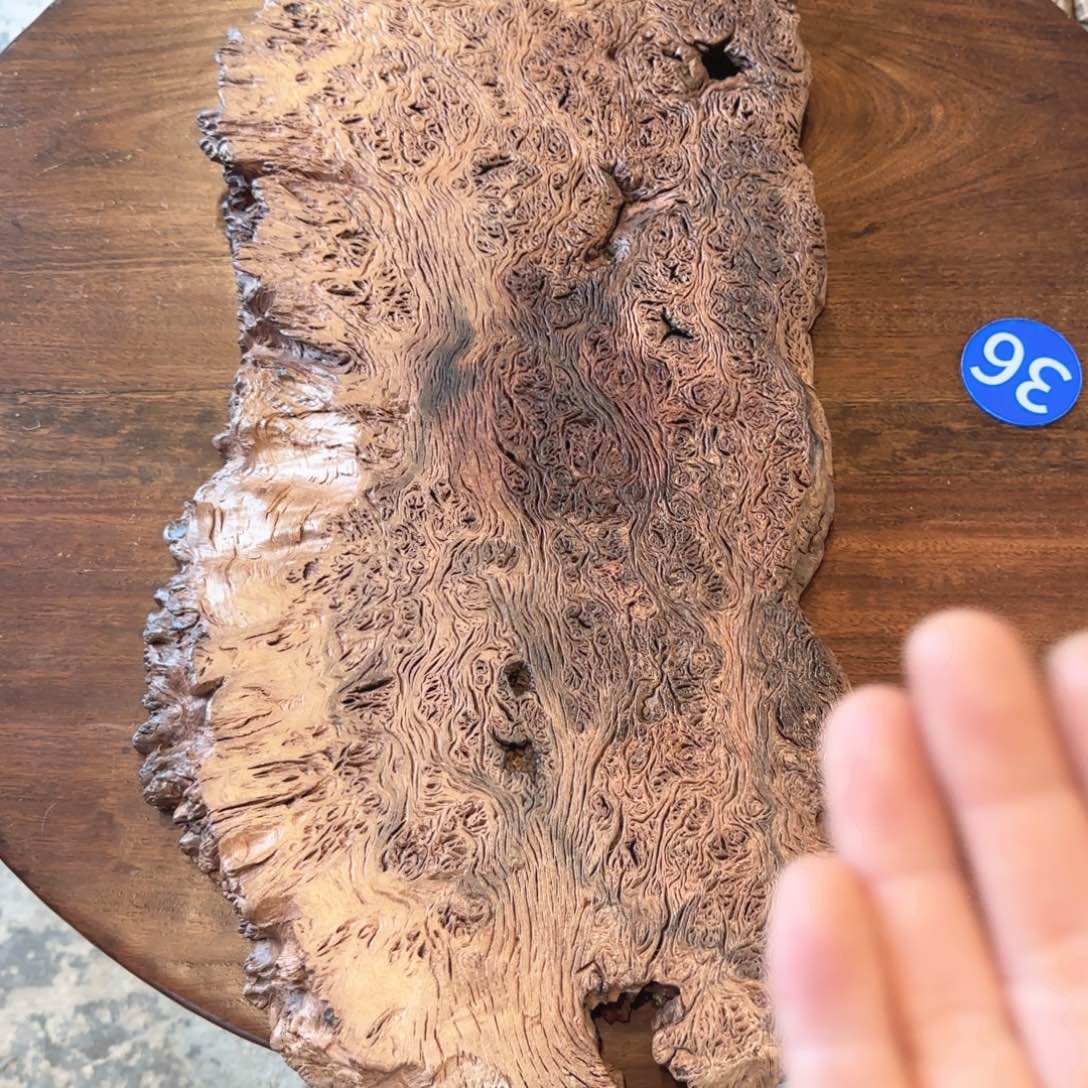 蘇***阁木铁栎木 树瘤 随形 干泡