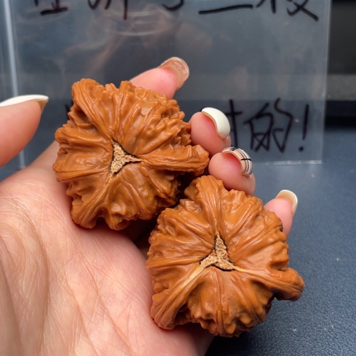 L****吊坠文玩核桃白狮子