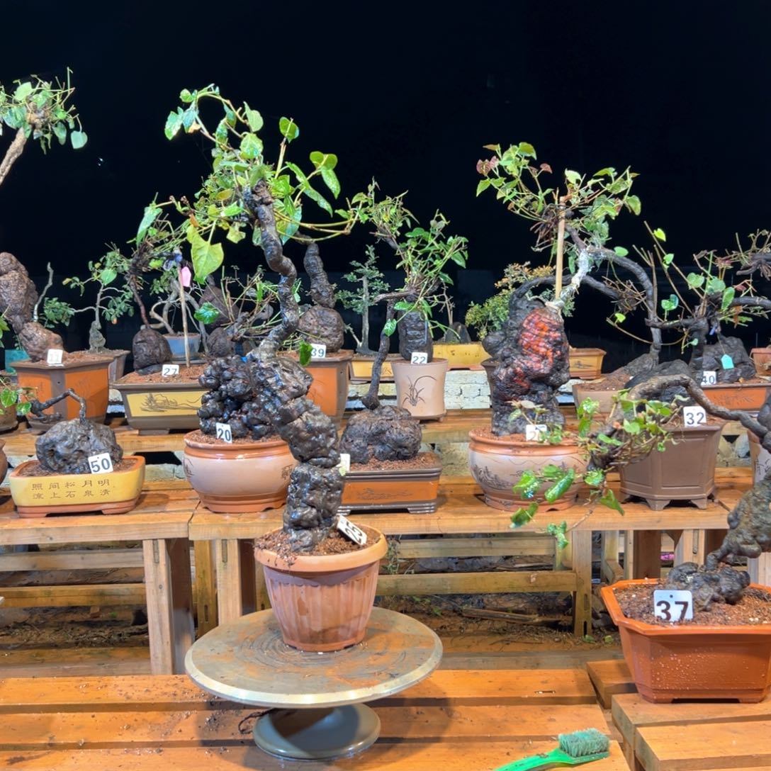 【闪购商品】完全开放追*人