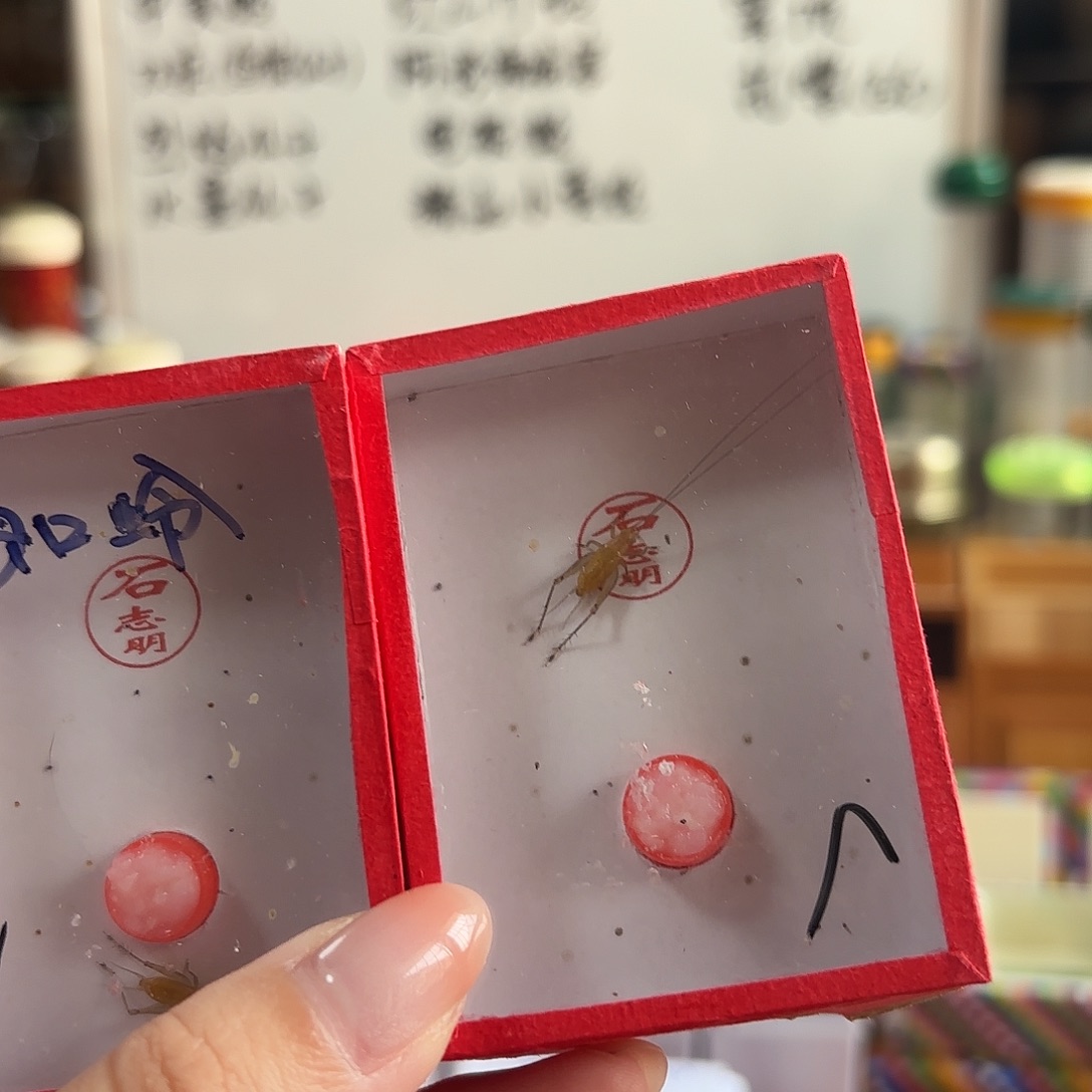 石汊口 特级各一 不包断须尾