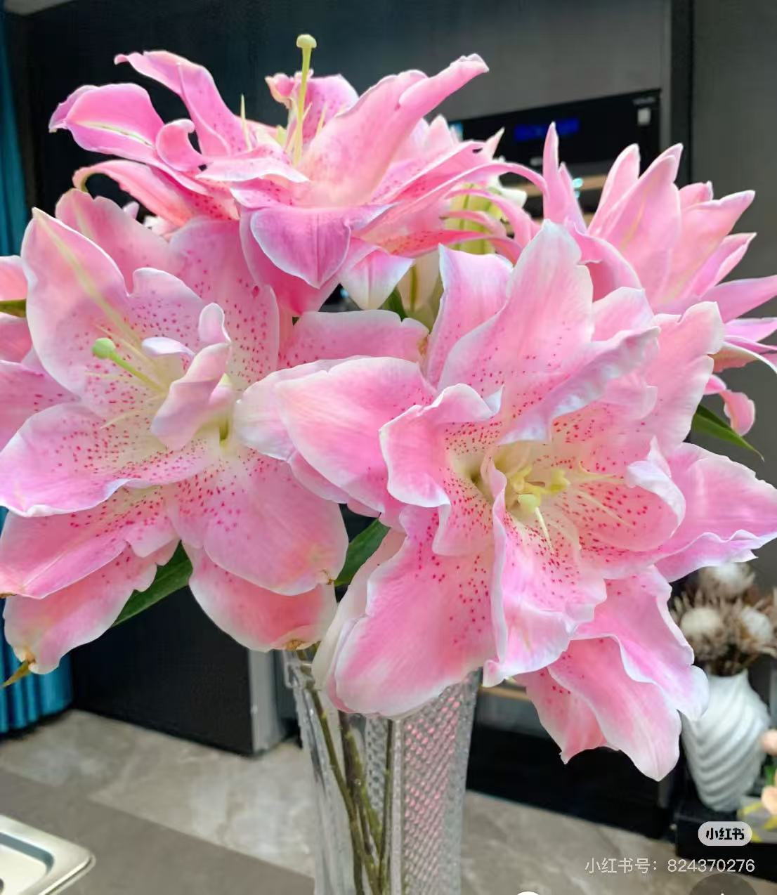 百合基地直发  满4单发顺丰  不满4单发中通