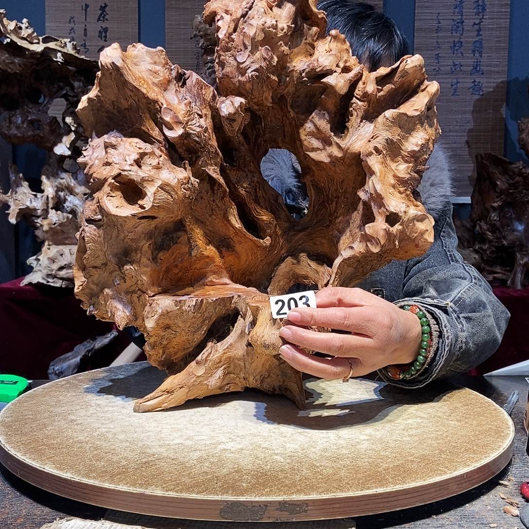 大***鹰203。红杉根随行根艺