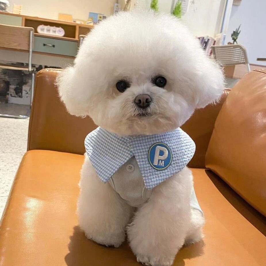 订制宠物相册下单咨询宠物相册