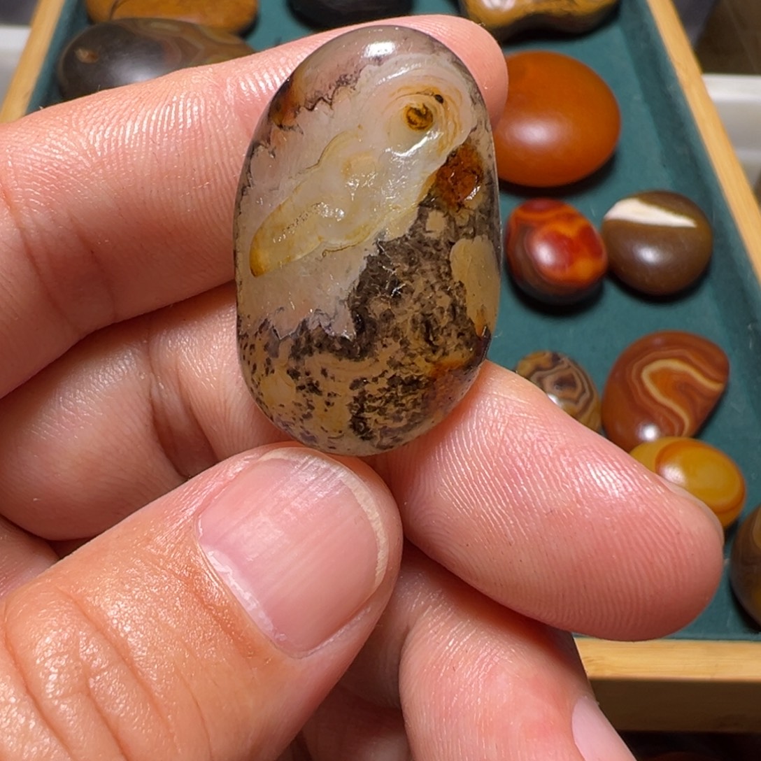 港***龙瓷片马达加斯加奇石