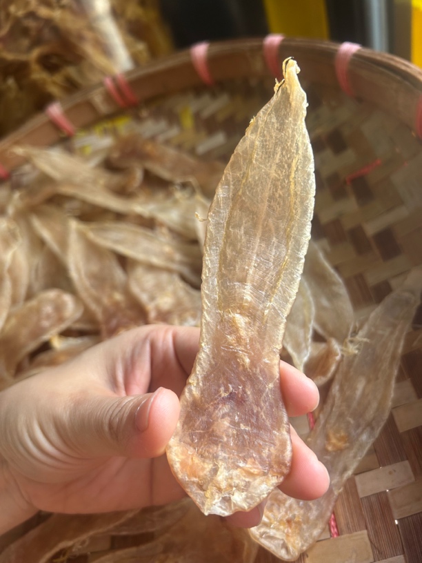 汕头南澳  南澳本地白花胶溪沃胶红沃胶  1-500克代拍