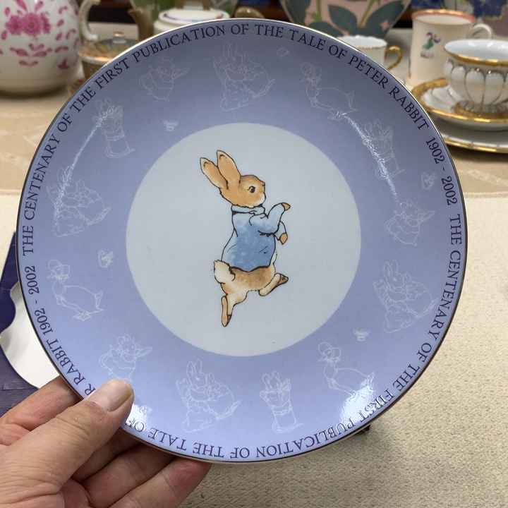 瓷片这只会不会在家