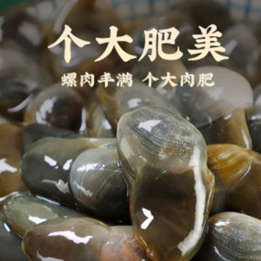 龙山正宗黄泥螺脆而鲜美(中号)