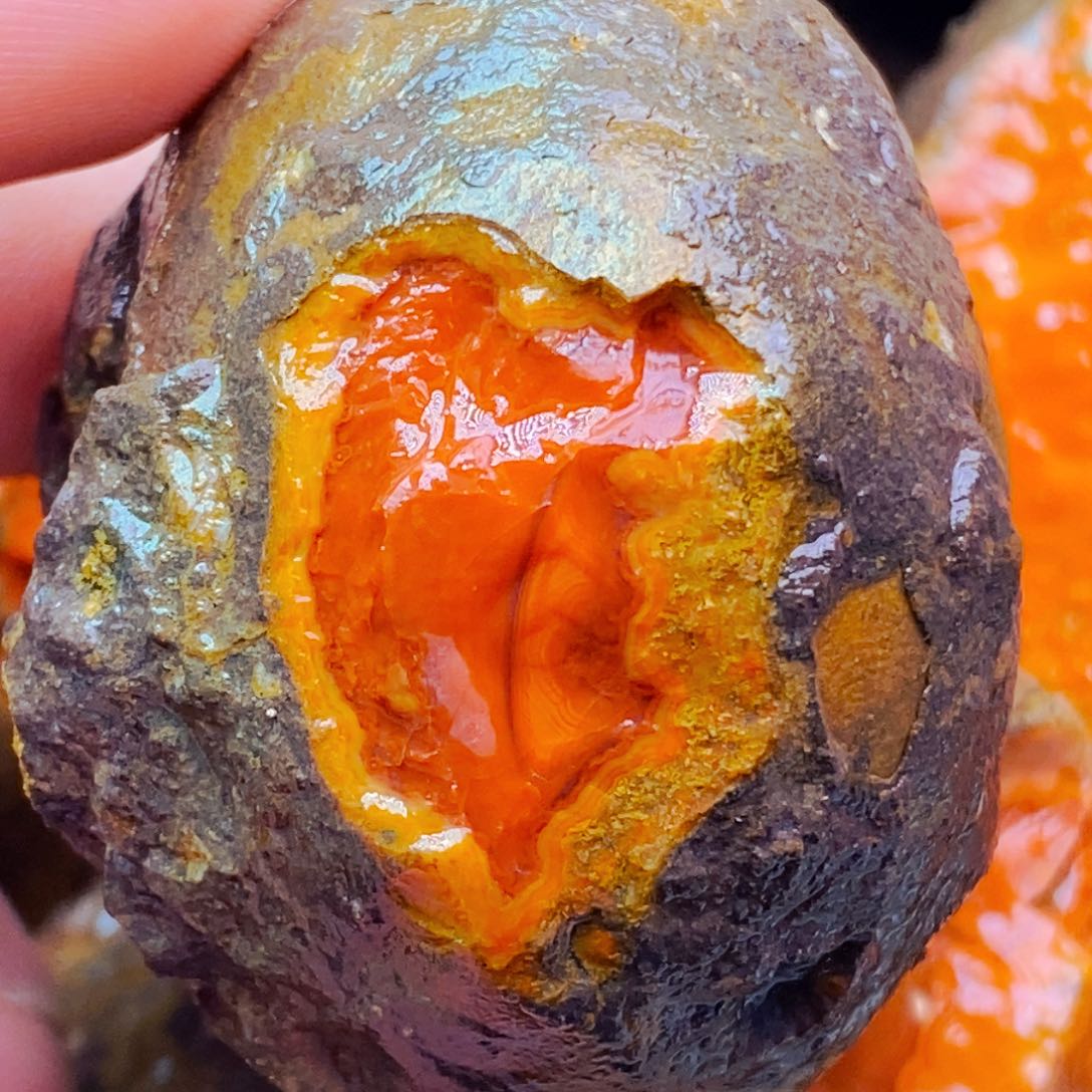 定制玛瑙快***舞定制战国红玛瑙