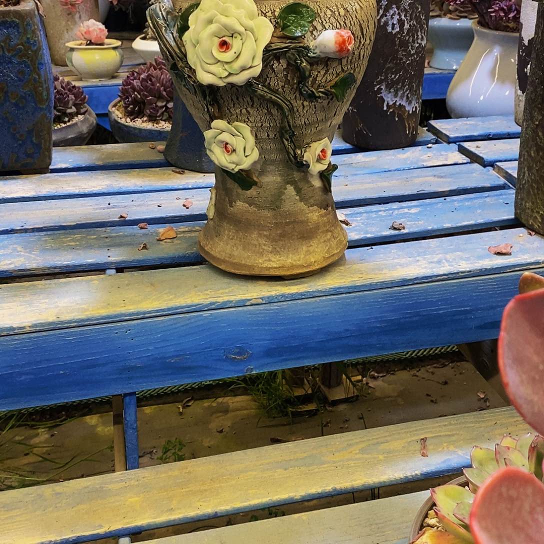 空**兰多肉花盆非常漂亮