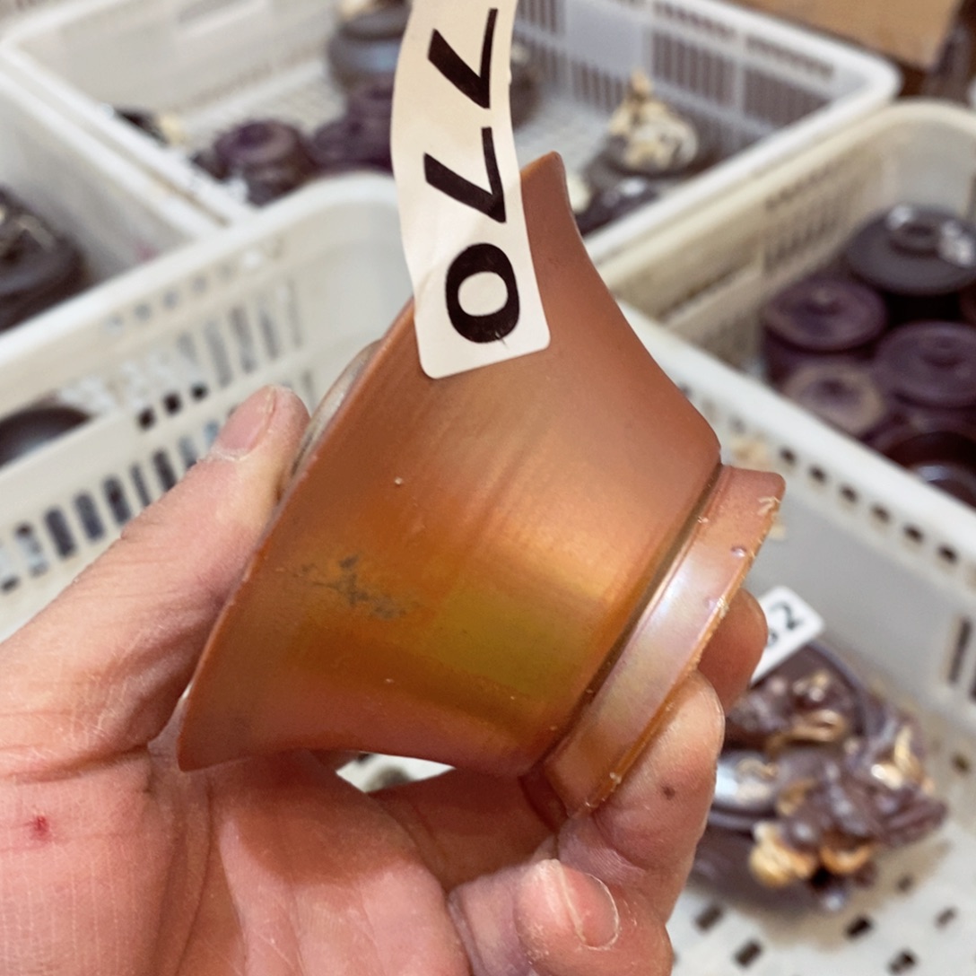 瑕疵开播福利，欢迎咨询