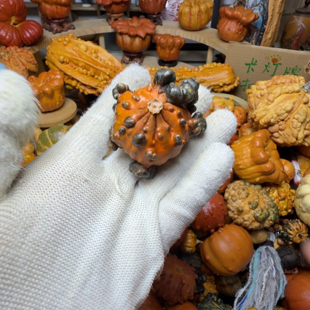 幸***运特价葫芦不退不换