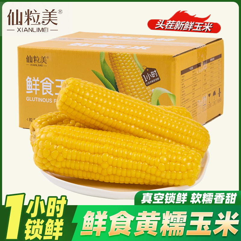 【仙粒美】25年头茬【品质黄糯玉米】（支持试吃2根）新鲜粗粮