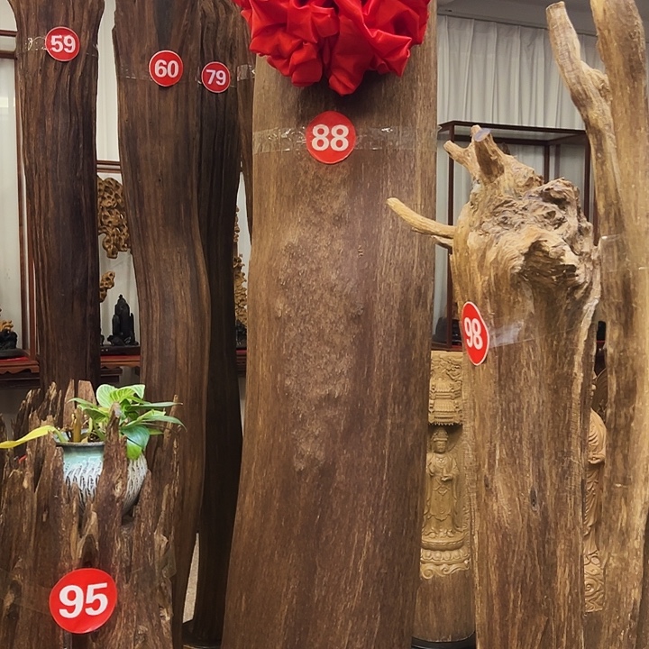 清***气沉香碎屑沉香沉香材料