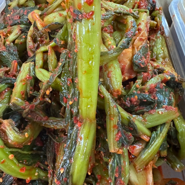 云南正宗新平青菜腌菜食用农产品