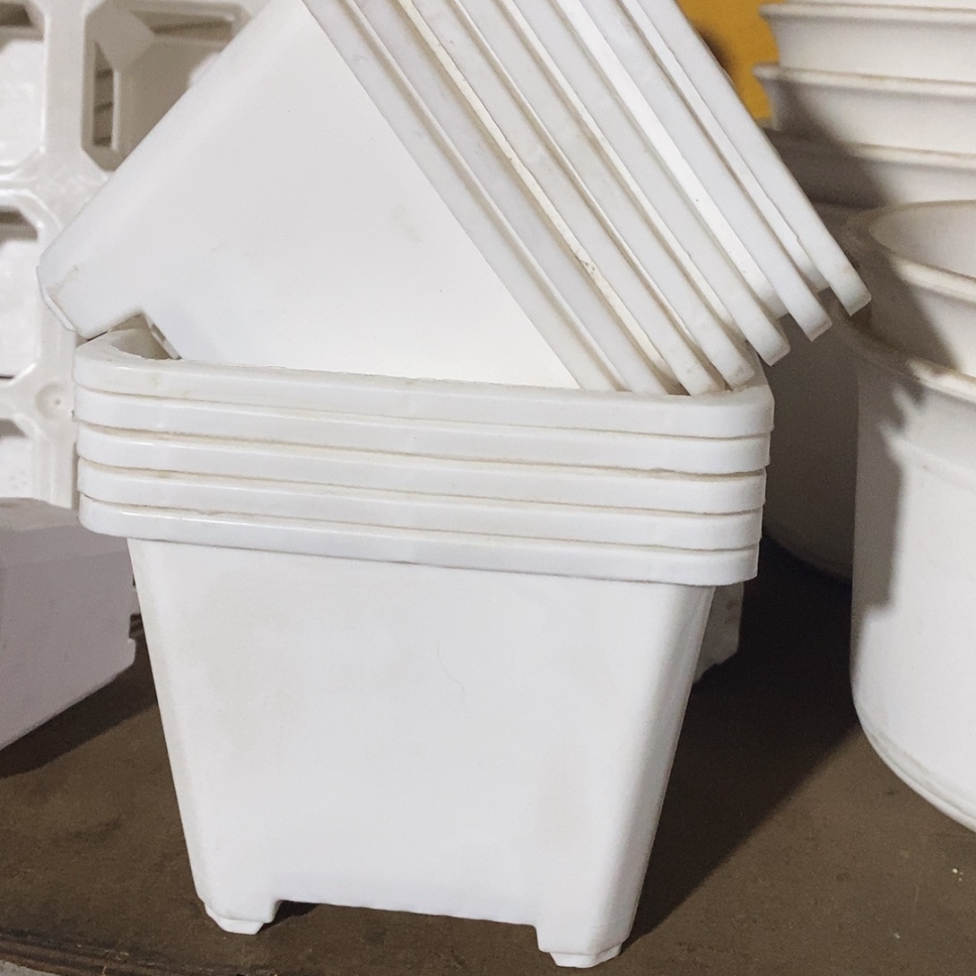 塑料新14公分白方10个 12白方10 个