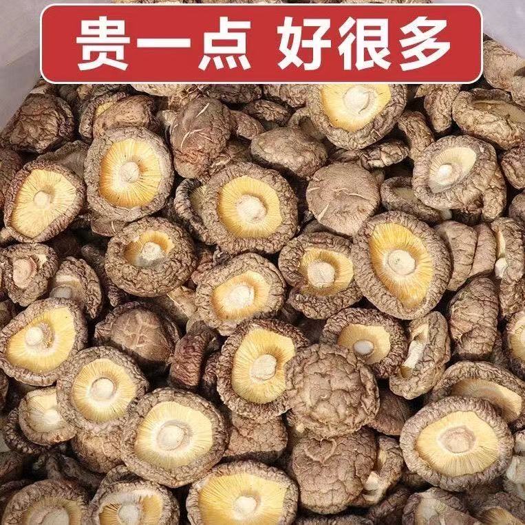 南阳香菇干山珍菌菇干货250g 煲汤火锅鲜美食材