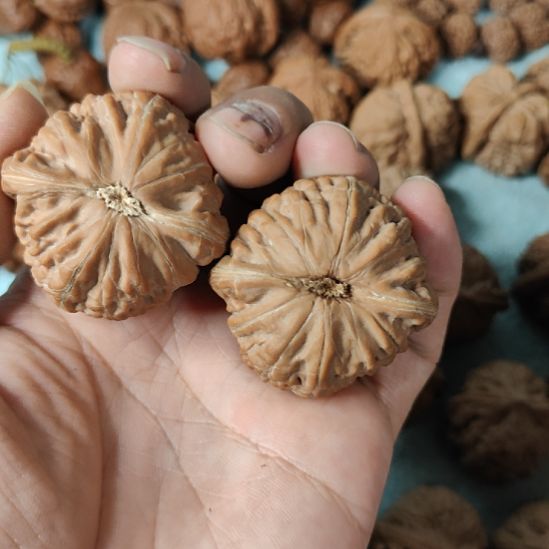 用***2文玩核桃吊坠矮桩铁锤妹妹