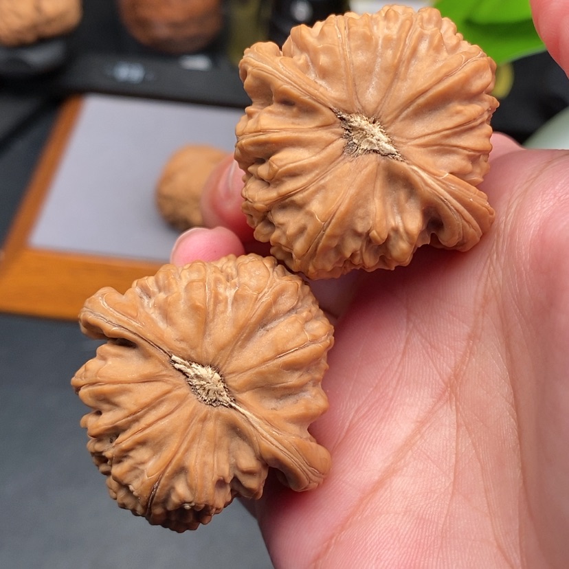 【闪购商品】文玩核桃把件白狮子全品41