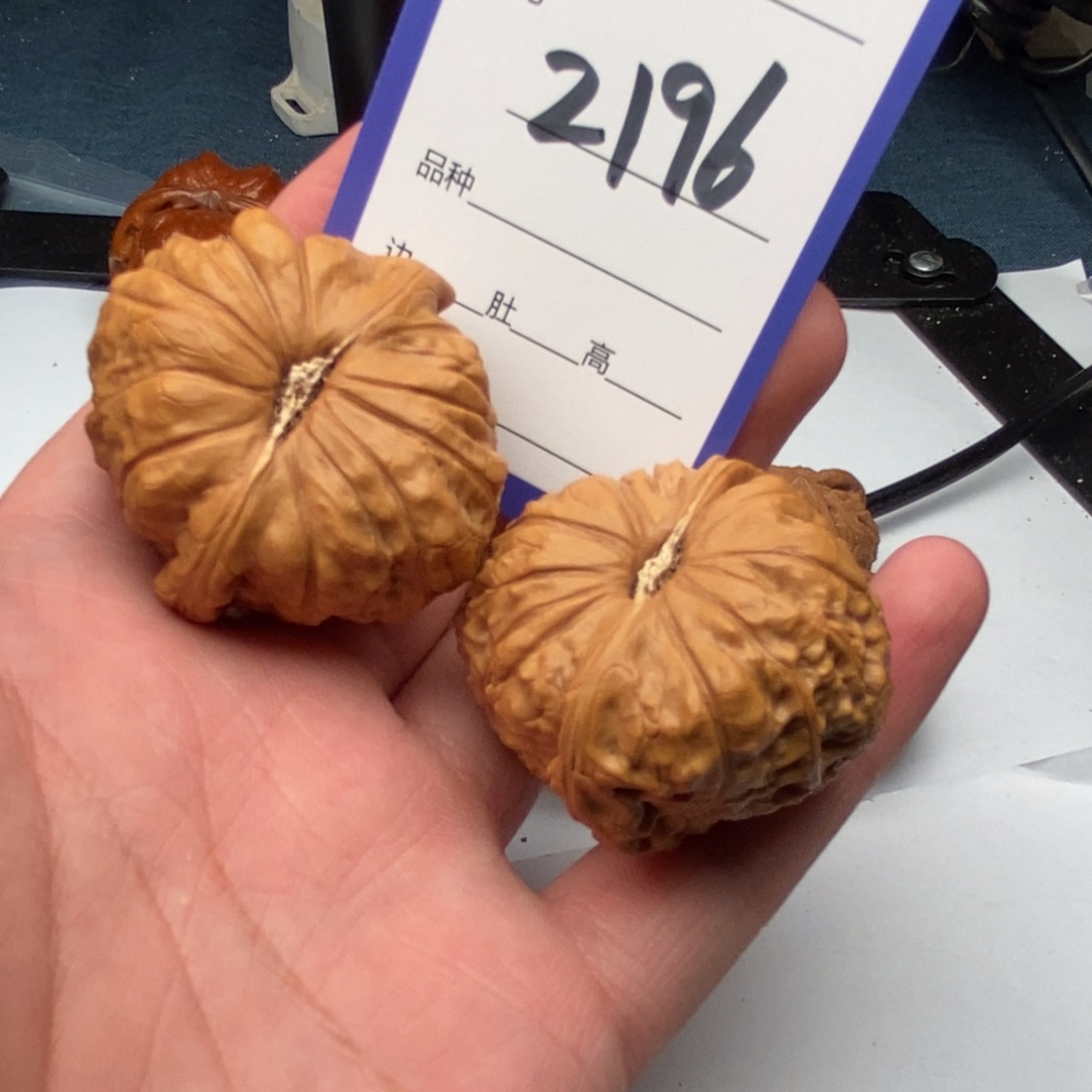 文玩核桃把件2196