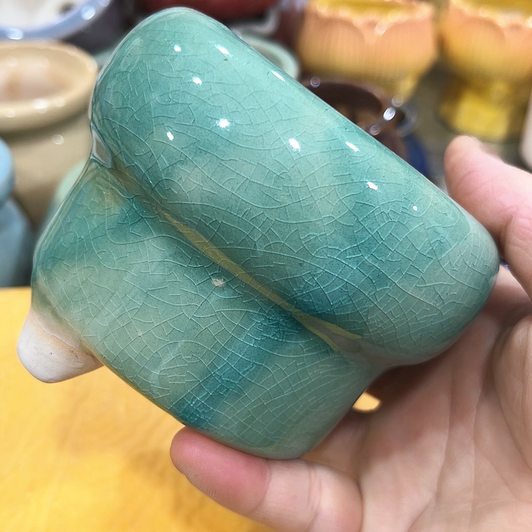 花盆花盆花盆花盆花盆花盆花盆花盆
