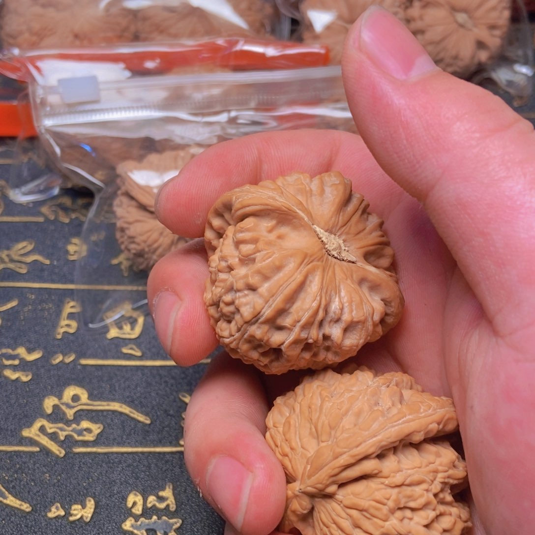 文玩核桃把件柿***，白狮子