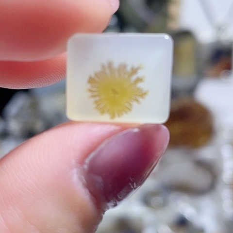 未镶嵌玛瑙/玉髓珠宝奇石