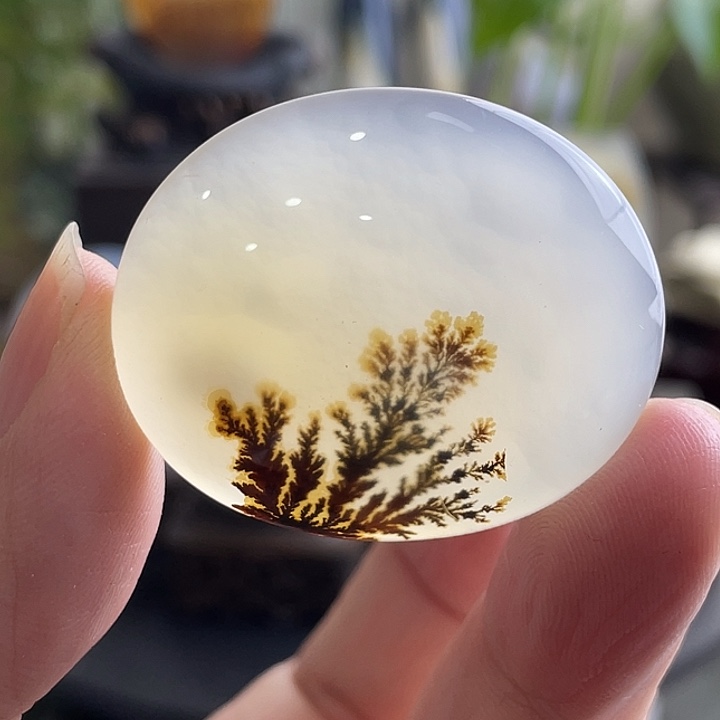 玛瑙/玉髓未镶嵌珠宝半成品