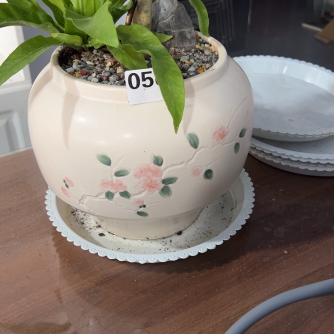 OK兔子执照执照执照执照