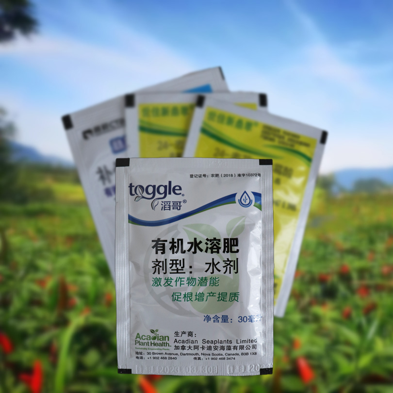 植物解 药害肥害技术生根壮苗促花促果高产配药技术建议用途