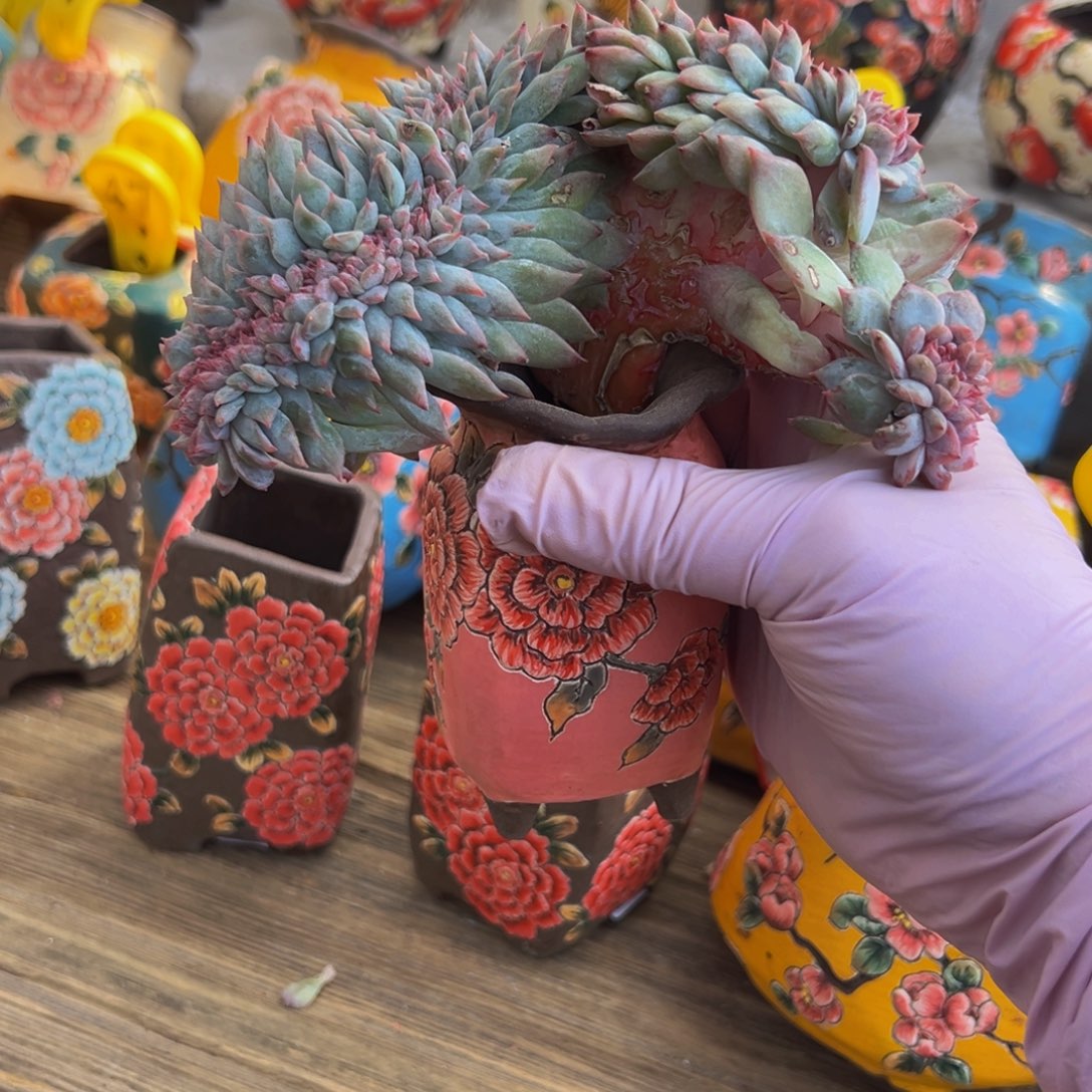 水蜜桃 新年快乐 新年快乐