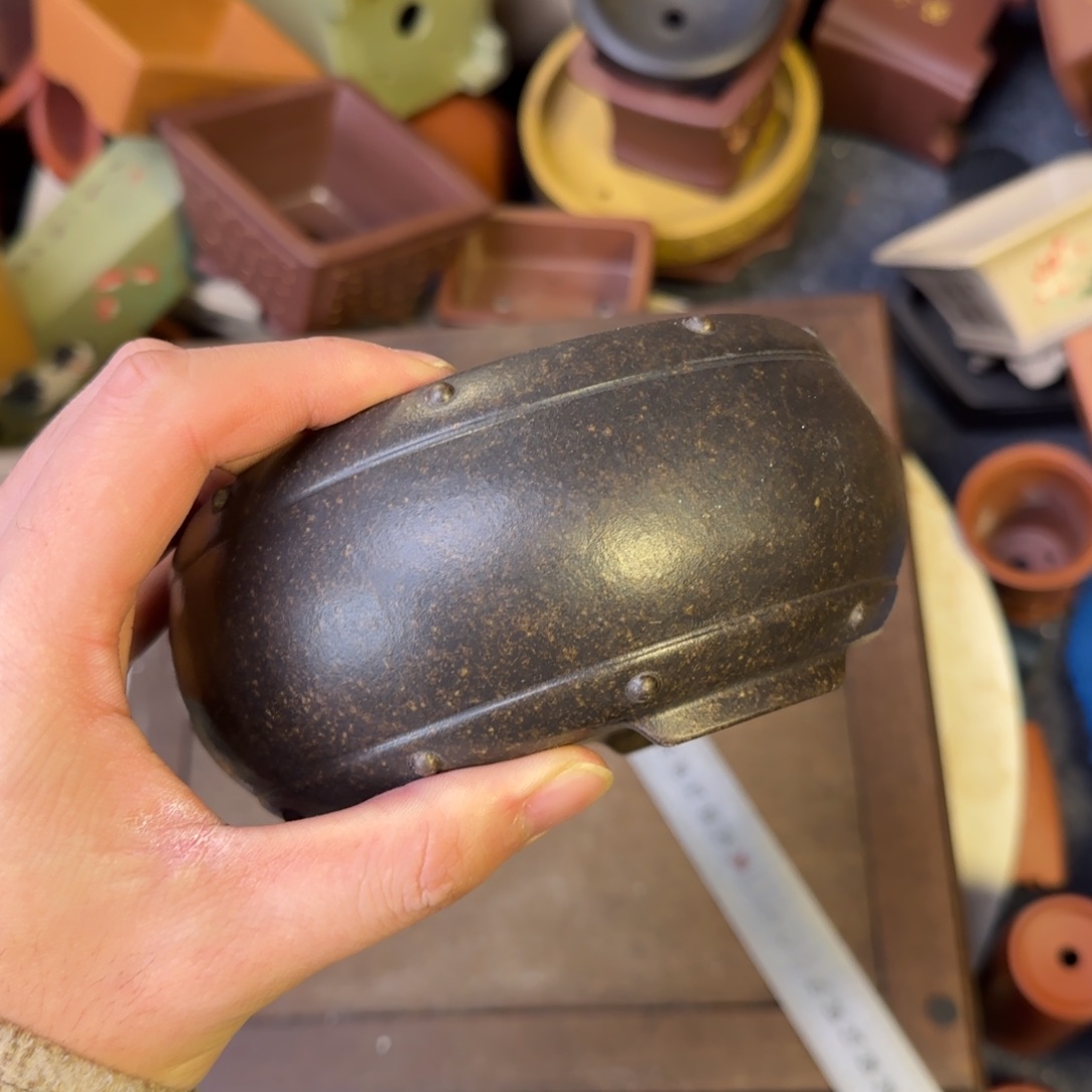 泥塑11+5.5vvvvvvvvvvvvv