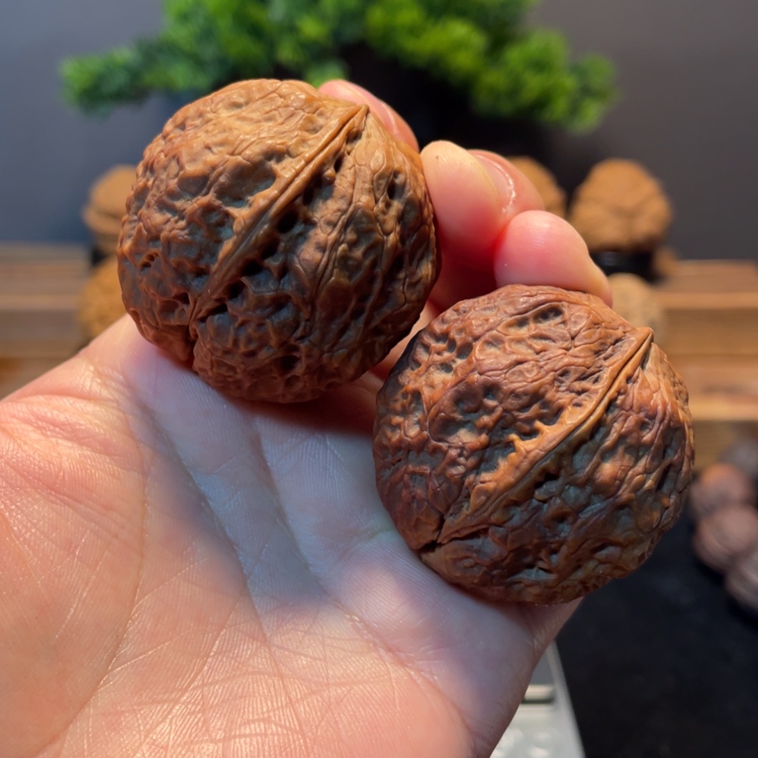 文玩核桃把件云南铁29