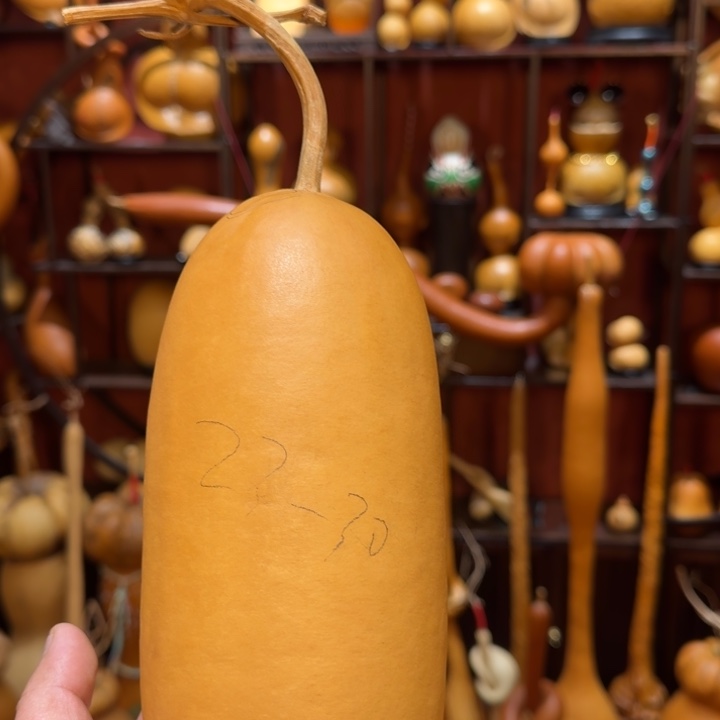 *****大叶紫檀（黑酸枝木类）