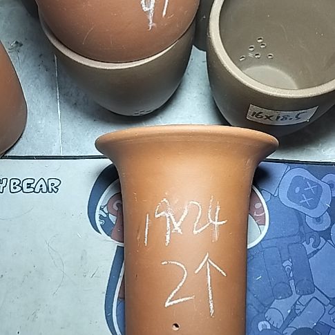 大红兰花两个花盆