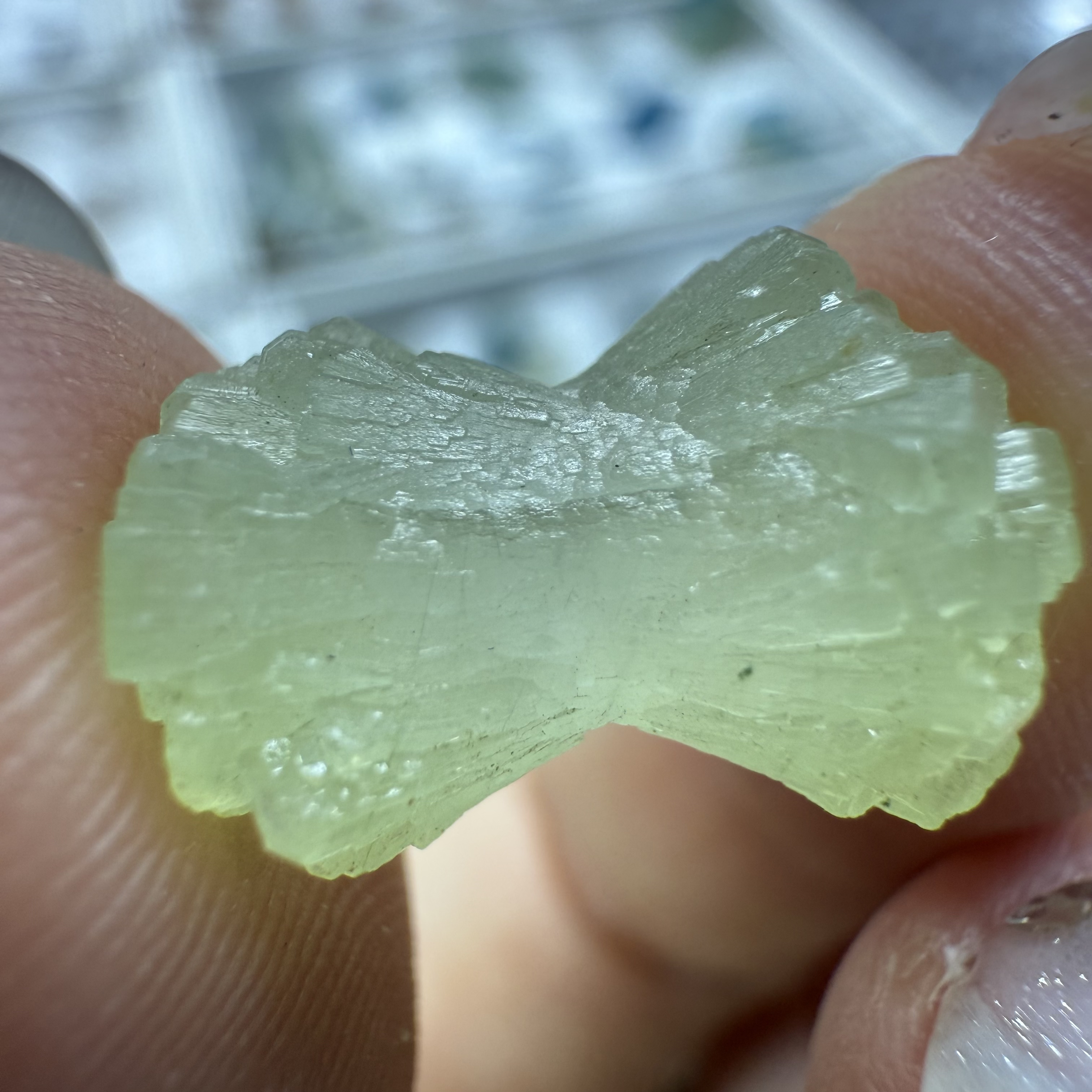 赞比亚 蝴蝶结 小摆件