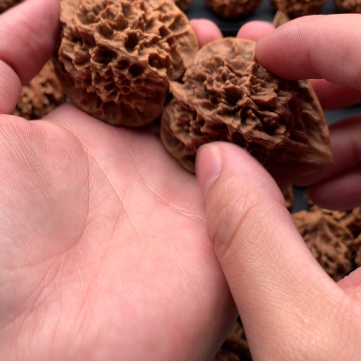 其他核桃大*。秦岭的一个