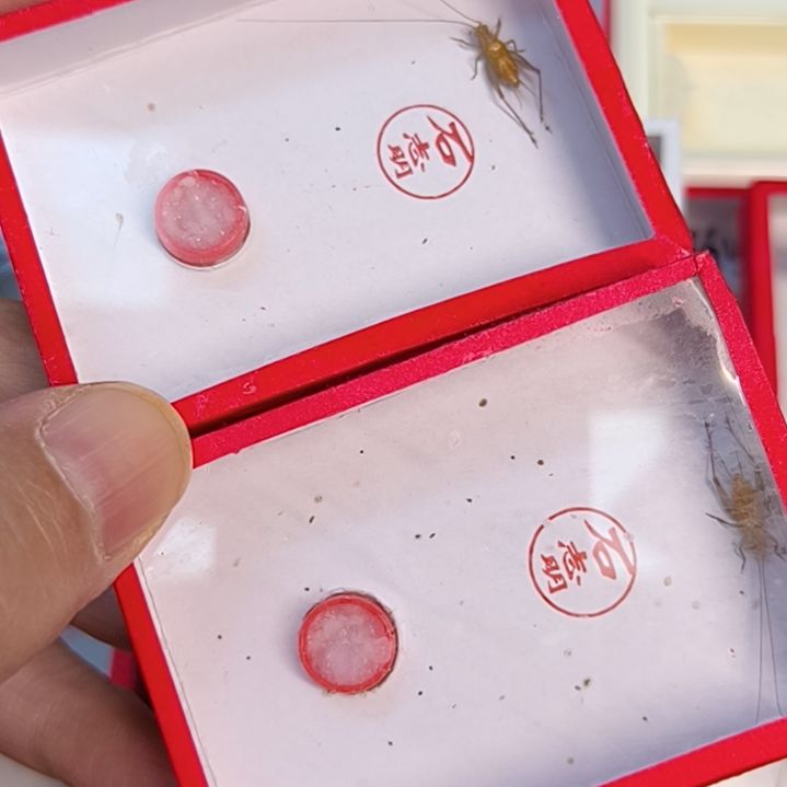 2条新到石志明顶须大黄两条