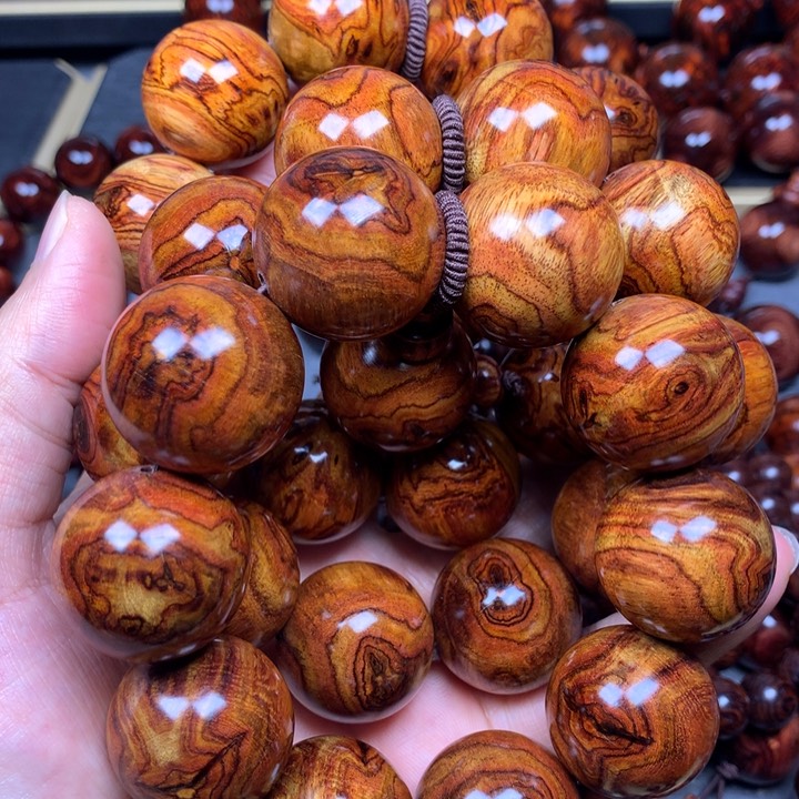 黄花梨/降香黄檀登*海南