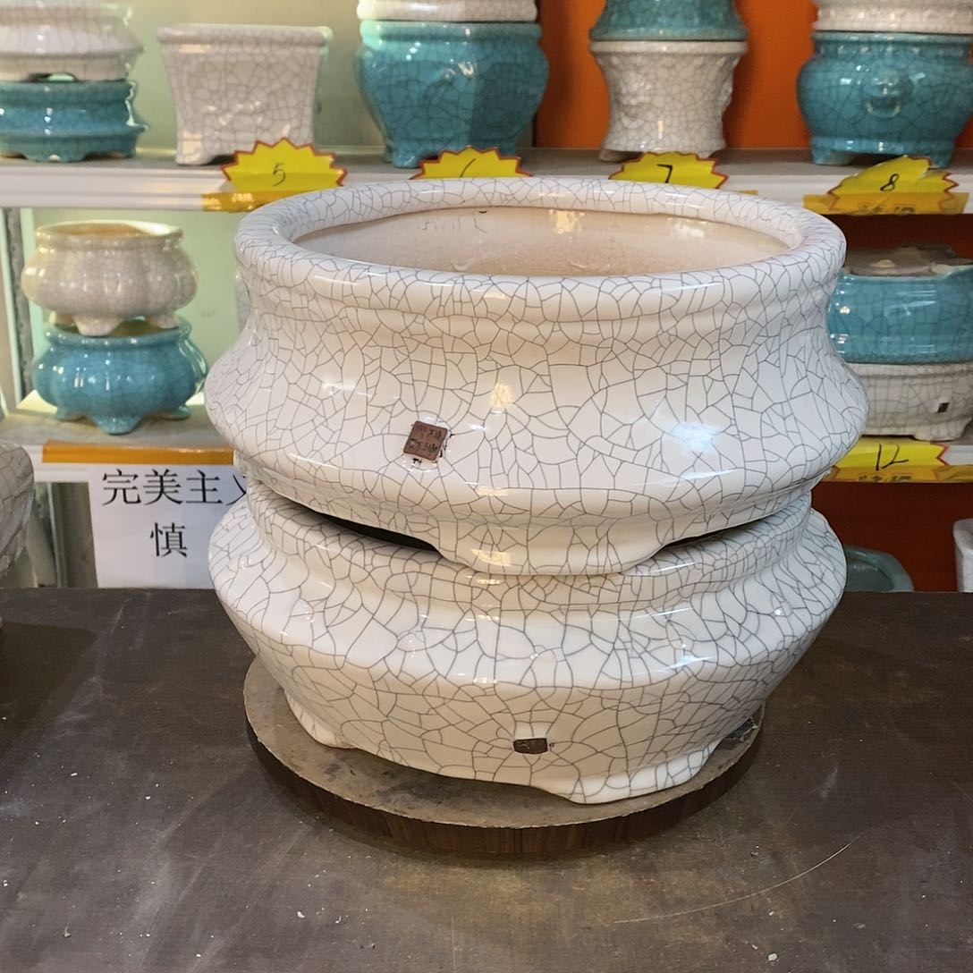 煮*花盆里的小猫咪