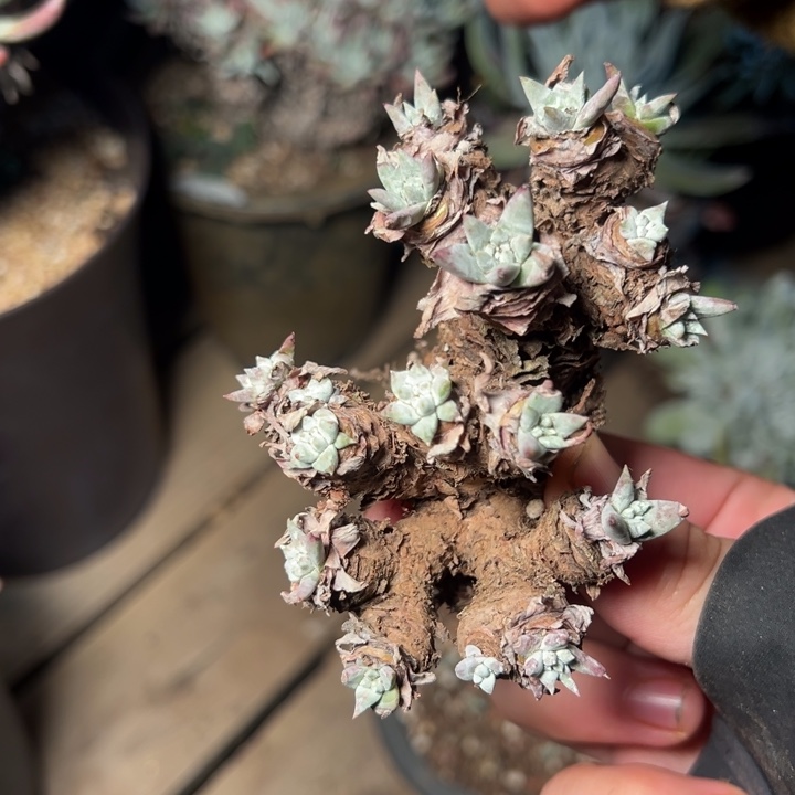 1904哈哈哈哈哈哈哈哈