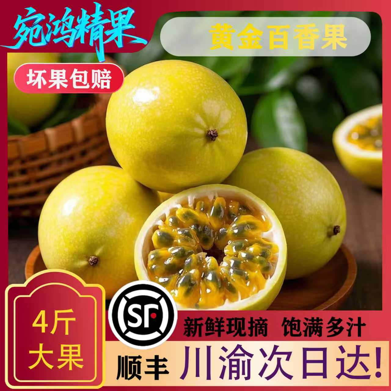 【川渝次日达】广西百香果水果钦密9号当季现摘大果顺丰包邮饱满多汁甜黄金百香果广西壮族自治区