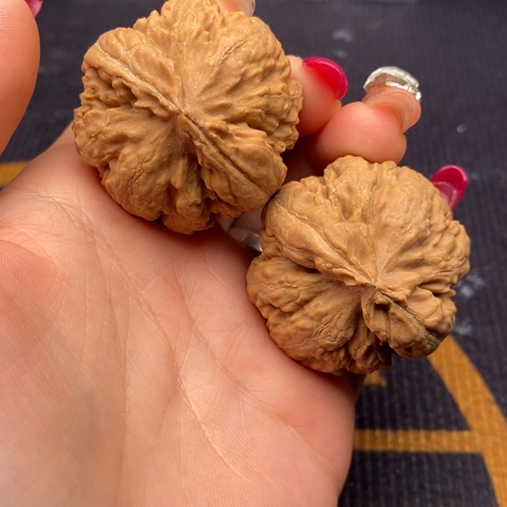 白***ㅤ文玩核桃把件霸王龙