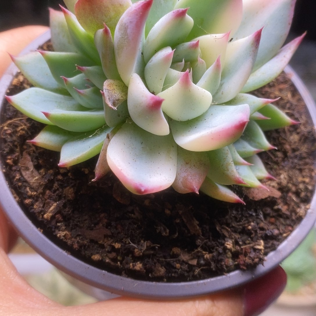 221哈哈哈哈哈哈哈哈