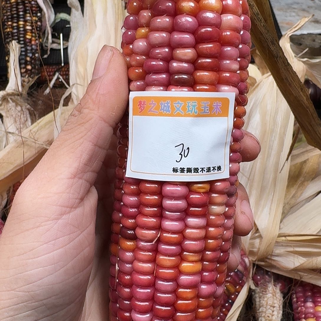 爱***2吊坠柏香籽/百香籽