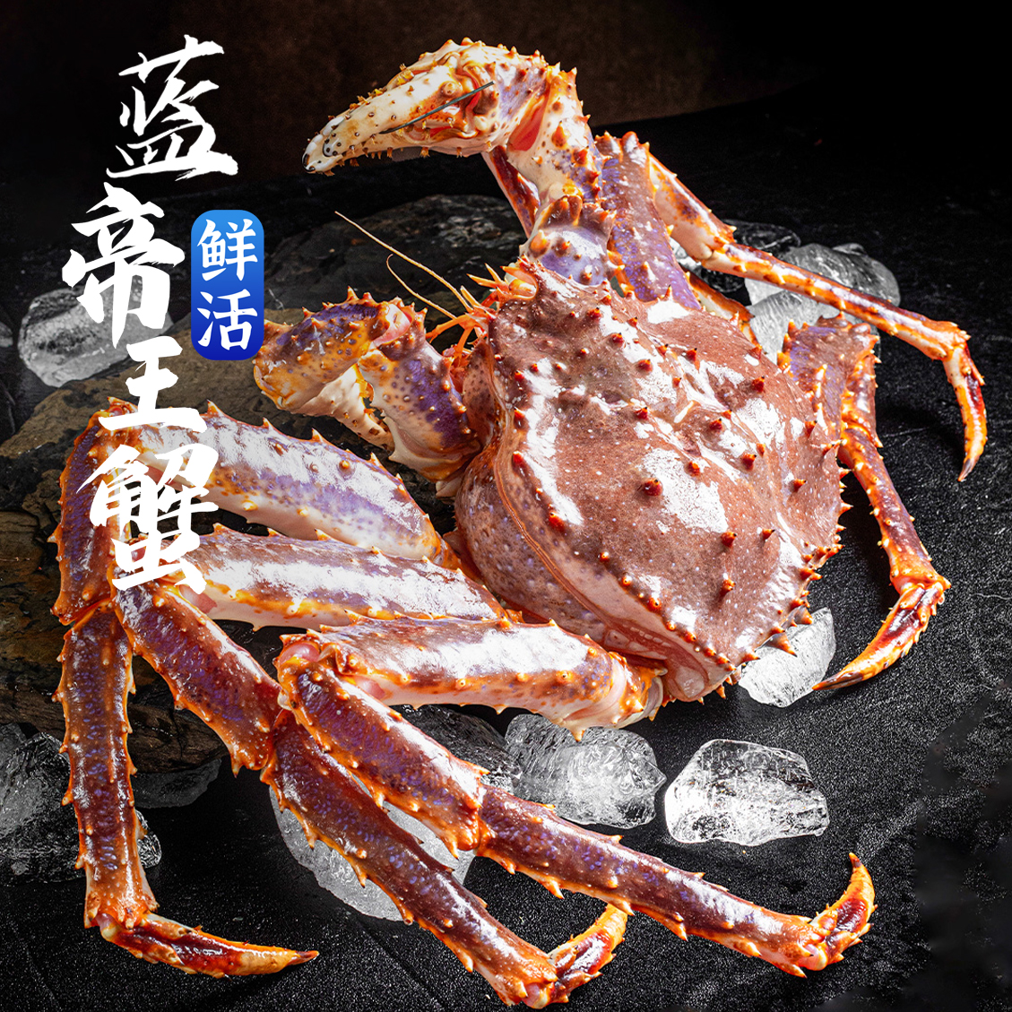 鲜活蓝帝王蟹 肉质鲜美 顺丰发货 东三省包邮